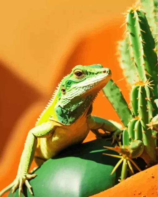 Iguana With Cactus Paint by Number