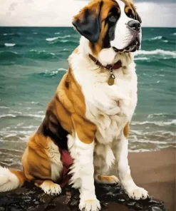 Newfoundland At The Beach Paint by Number