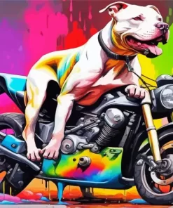 Pit Bull On Motorcycle Paint by Number