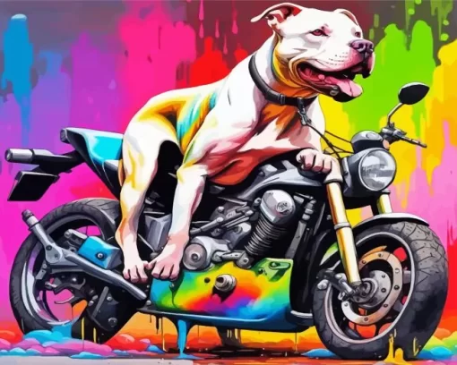 Pit Bull On Motorcycle Paint by Number