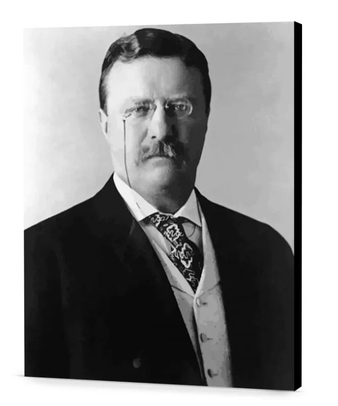 Theodore Roosevelt President's day