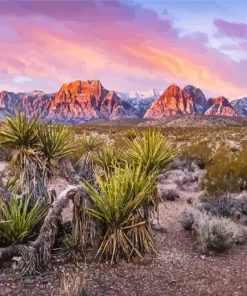 Red Rock Canyon Las Vegas Paint By Numbers