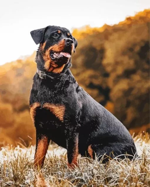 Happy Rottweiler Animal Paint by Number