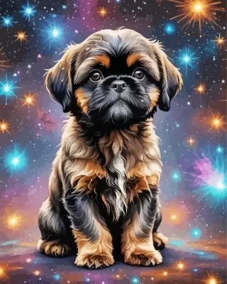 Shih Tzu Dog Paint by Numbers 