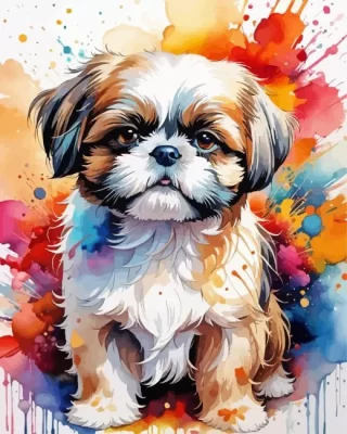 Shih Tzu Puppy Paint by Numbers Shih Tzu Puppy Paint by Number