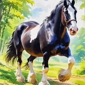 Shire Horse Art Paint by Number