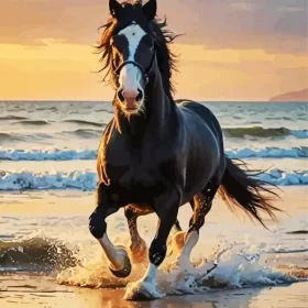 Shire Horse At Beach Paint by Number