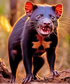 Tasmanian Devil Art Paint by Number