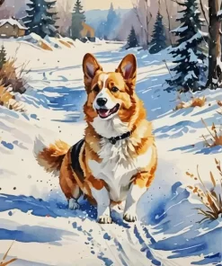 Welsh Corgi Dog In Snow Paint by Number