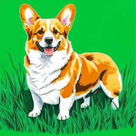 Welsh Corgi Dog Paint by Number