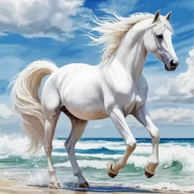 White Arabian Horse Paint by Number