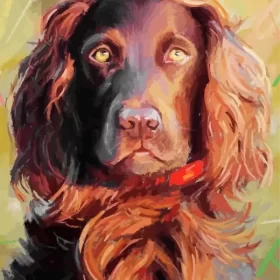 Abstract Boykin Spaniel Paint by Number