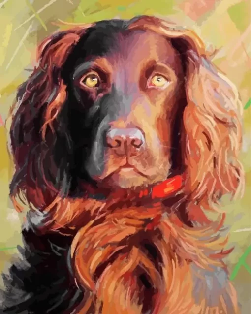 Abstract Boykin Spaniel Paint by Number