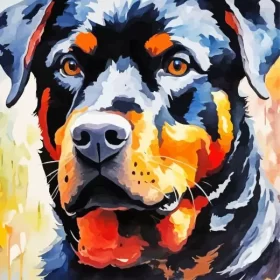 Abstract Rottweiler Animal Paint by Number