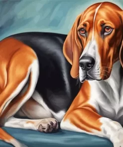 Aesthetic Coonhound Paint by Numbers