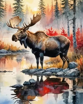 Aesthetic Moose Animal Paint by Number