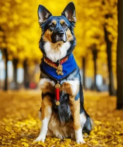 Autumn German Shepherd Paint by Numbers