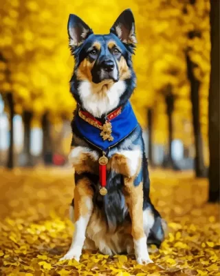 Autumn German Shepherd Paint by Numbers