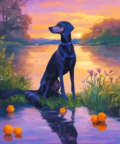 Black Greyhound Dog Paint by Number