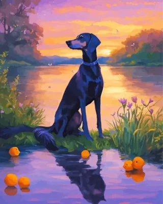 Black Greyhound Dog Paint by Number