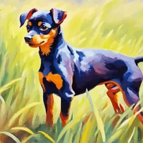 Black Miniature Pinscher Art Paint by Number