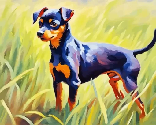 Black Miniature Pinscher Art Paint by Number