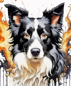 Black And White Border Collie Paint by Number