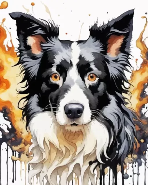 Black And White Border Collie Paint by Number