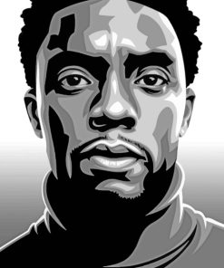 Black Panther Chadwick Boseman Paint by Number