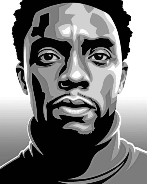 Black Panther Chadwick Boseman Paint by Number