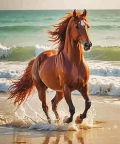 Brown Arabian Horse At Beach Paint by Number