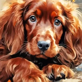 Brown Irish Setter Dog Paint by Number