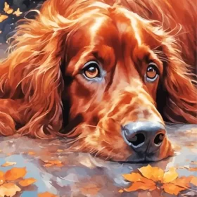Brown Irish Setter Art Paint by Number