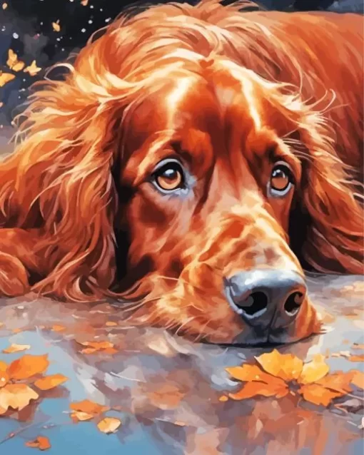 Brown Irish Setter Art Paint by Number