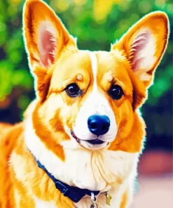 Brown Pembroke Welsh Corgi Paint by Number