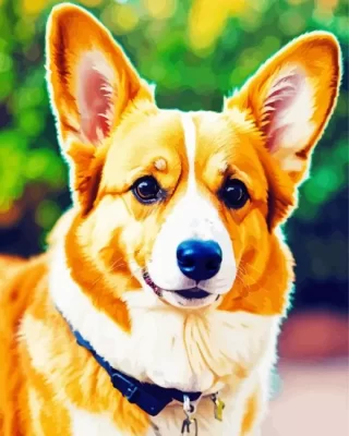 Brown Pembroke Welsh Corgi Paint by Number