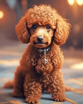 Brown Poodle Dog Paint by Number