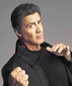 Charming Sylvester Stallone Paint by Number