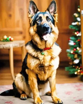 Christmas German Shepherd Paint by Number