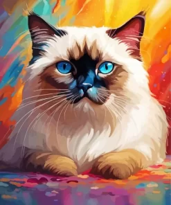 Colorful Birman Cat Paint by Number