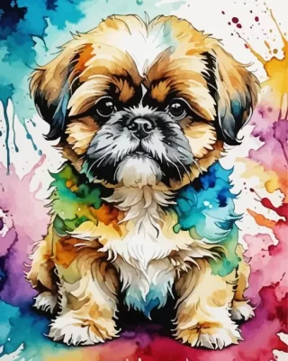 Colorful Shih Tzu Paint by Number