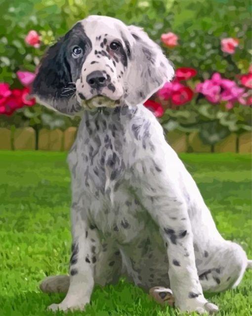 Cute Irish Setter Paint by Number