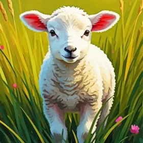 Cute Lamb Paint by Number