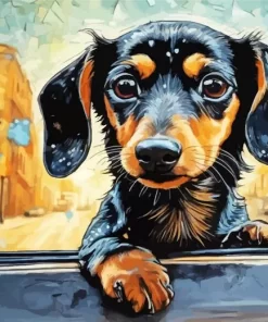 Dachshund Puppy Paint by Number