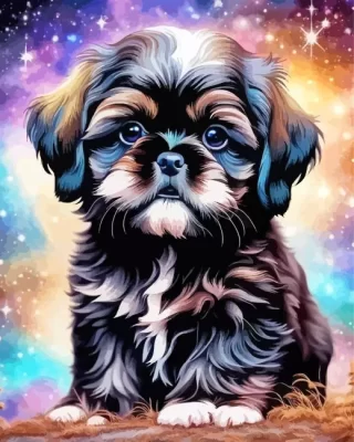 Dark Shih Tzu Paint by Number