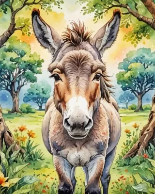 Donkey Animal Paint by Number