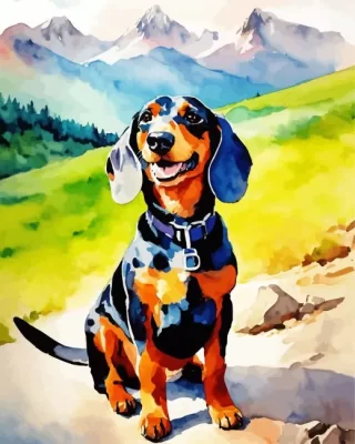 Happy Coonhound Paint by Numbers