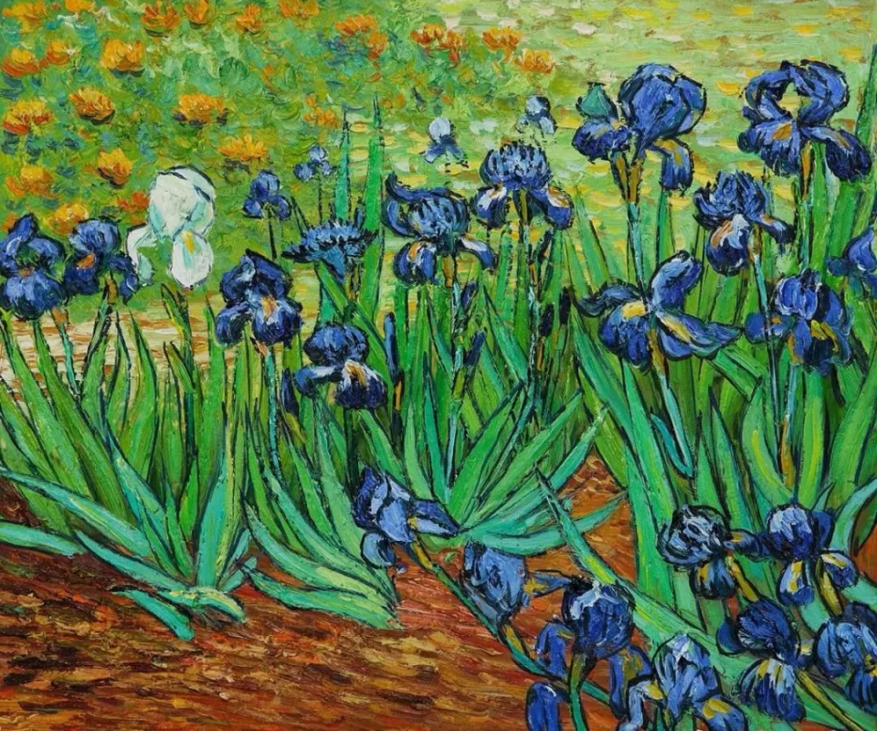 Vincent van Gogh – Irises