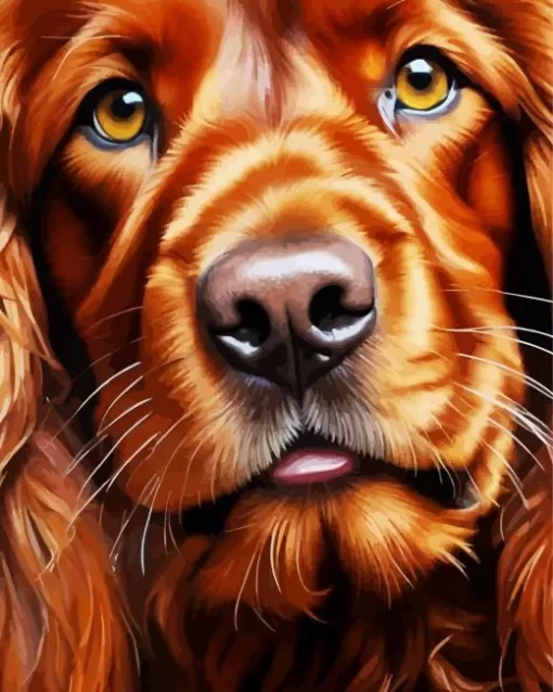 Irish Setter Close Up Paint by Number