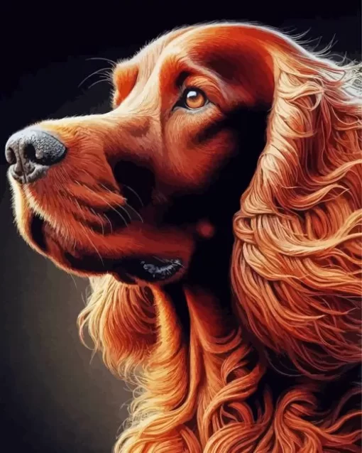 Irish Setter Dog Paint by Number